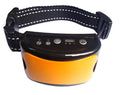 Intelligent Recognition Automatic Locking Barking Device
