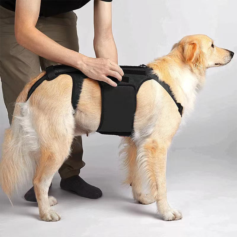 Dog Injury-Relief Vest