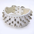 Large Dog Rivet Pet Collar