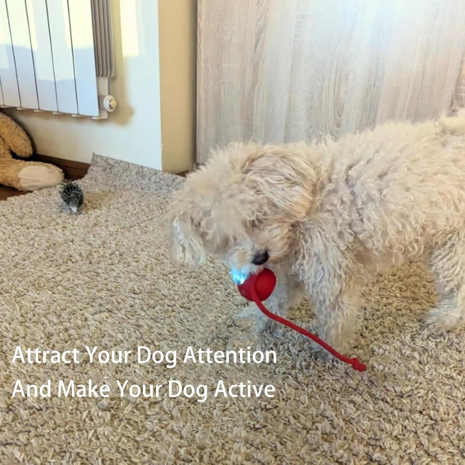 Interactive Rolling Ball Toy for Dogs and Cats