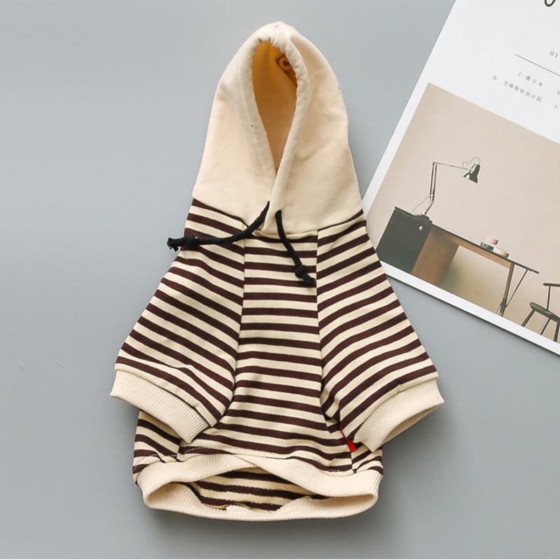 Teddy Dog Terry Sweater - Fashion for Small Dogs