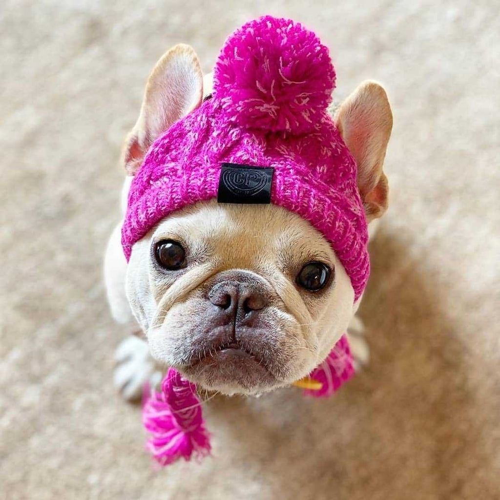 Warm Fluffy Ball Knit Dog Hat