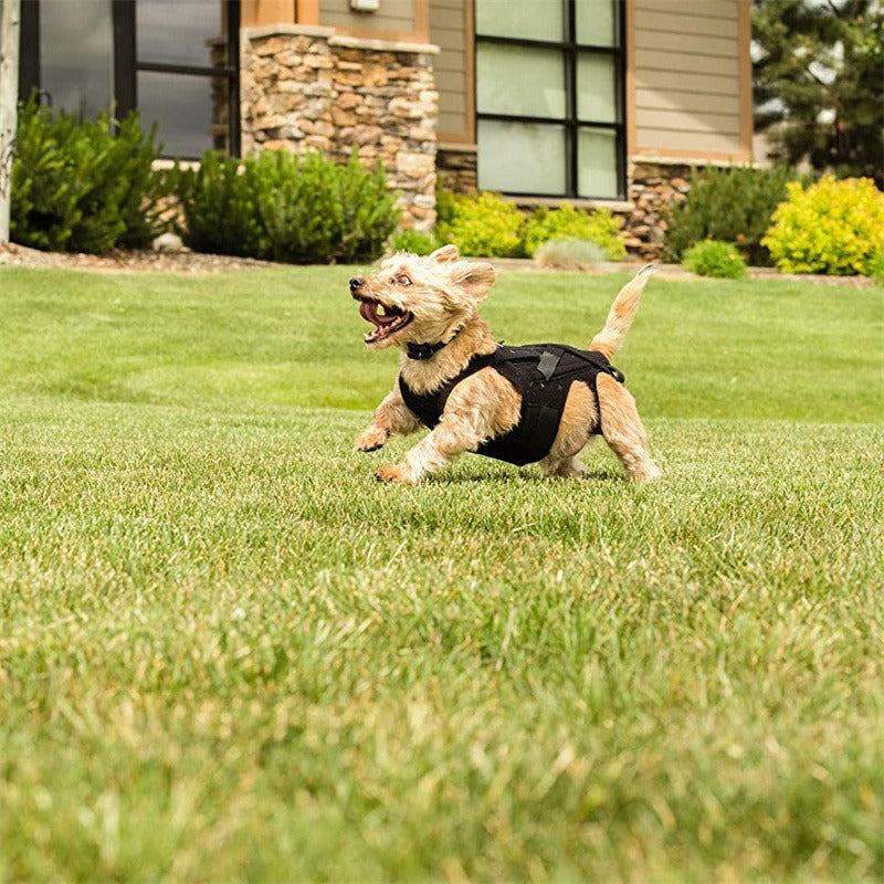 Dog Injury-Relief Vest
