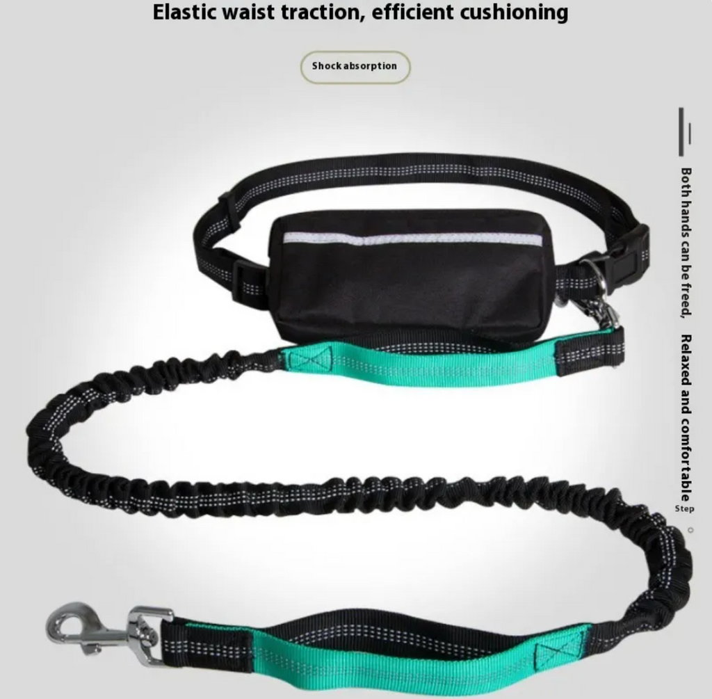 Hands-Free Reflective Dog Leash