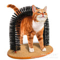 Purrfect Arch Cat Grooming and Scratching Toy