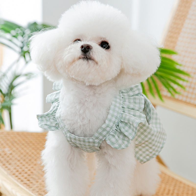 Summer Pet Dress for Cats and Dogs