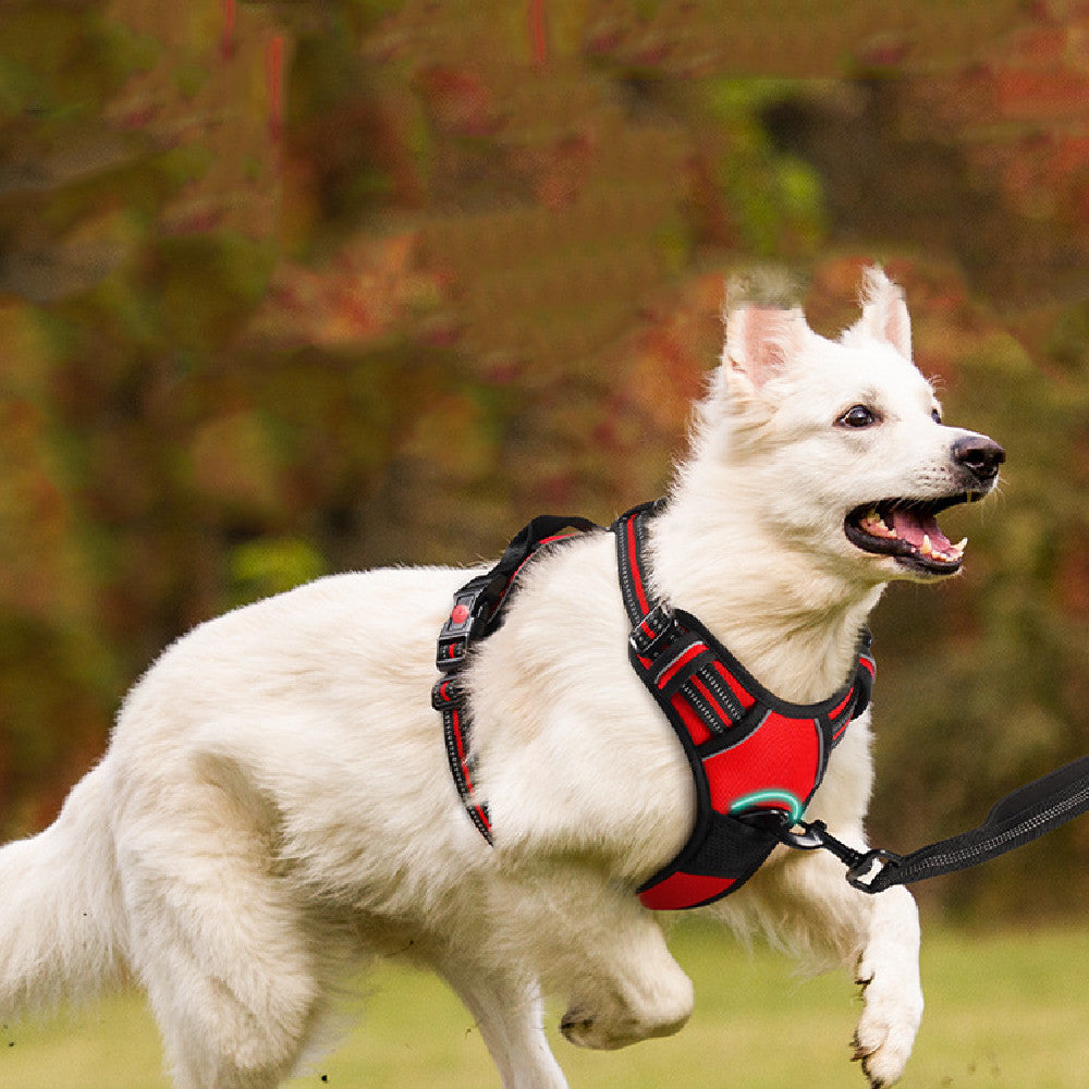 Pet Traction Rope with Chest Strap Harness