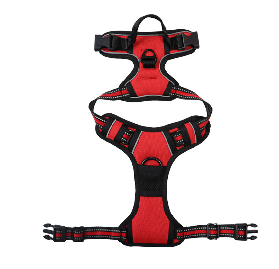 Dog Harness with Leash