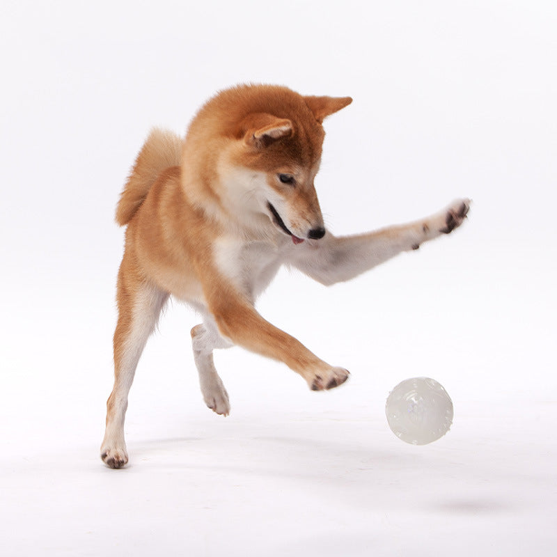 Touchdog LED Chew Toy Ball for Dogs (Teddy & Golden)