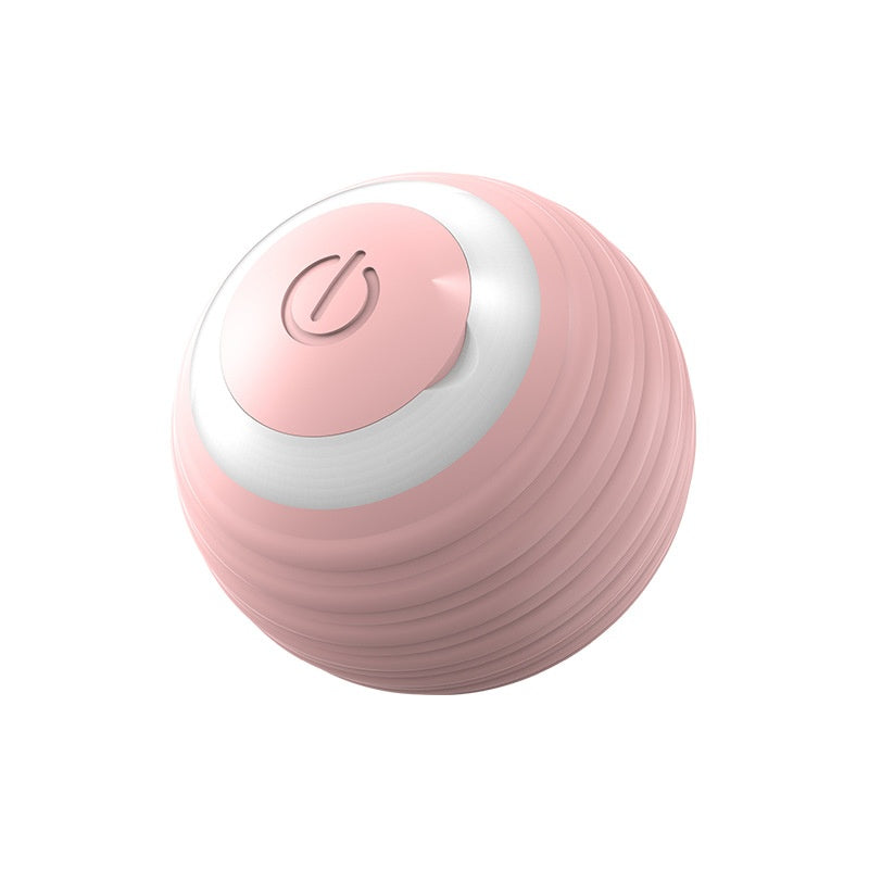 Interactive Smart Pet Toy Ball