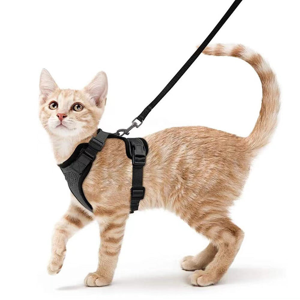 Reflective Breathable Chest Strap for Cats