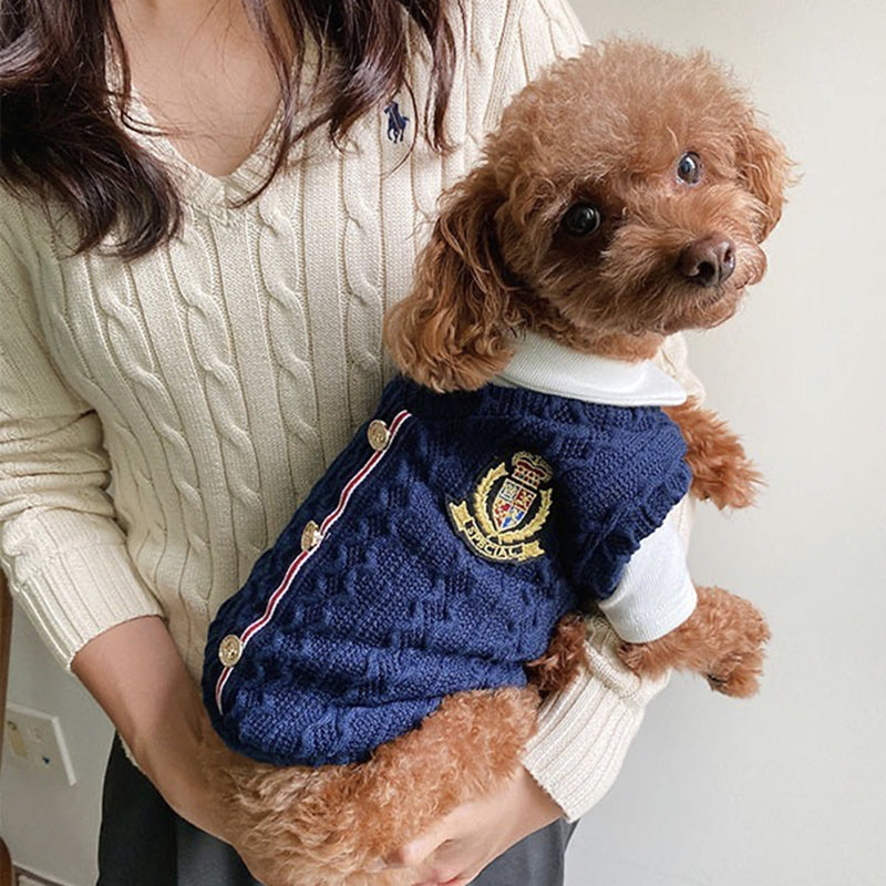 Two-Piece Set for Small Dogs and Puppies