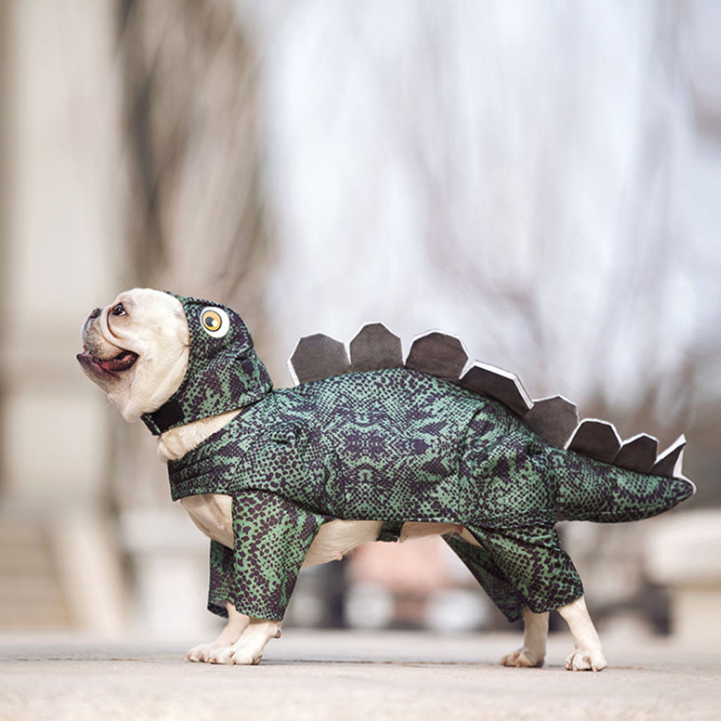 Funny Dinosaur Costume for Pets - Dog Apparel