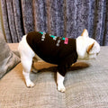 Small Dog Sweater with Velvet Print for Pets
