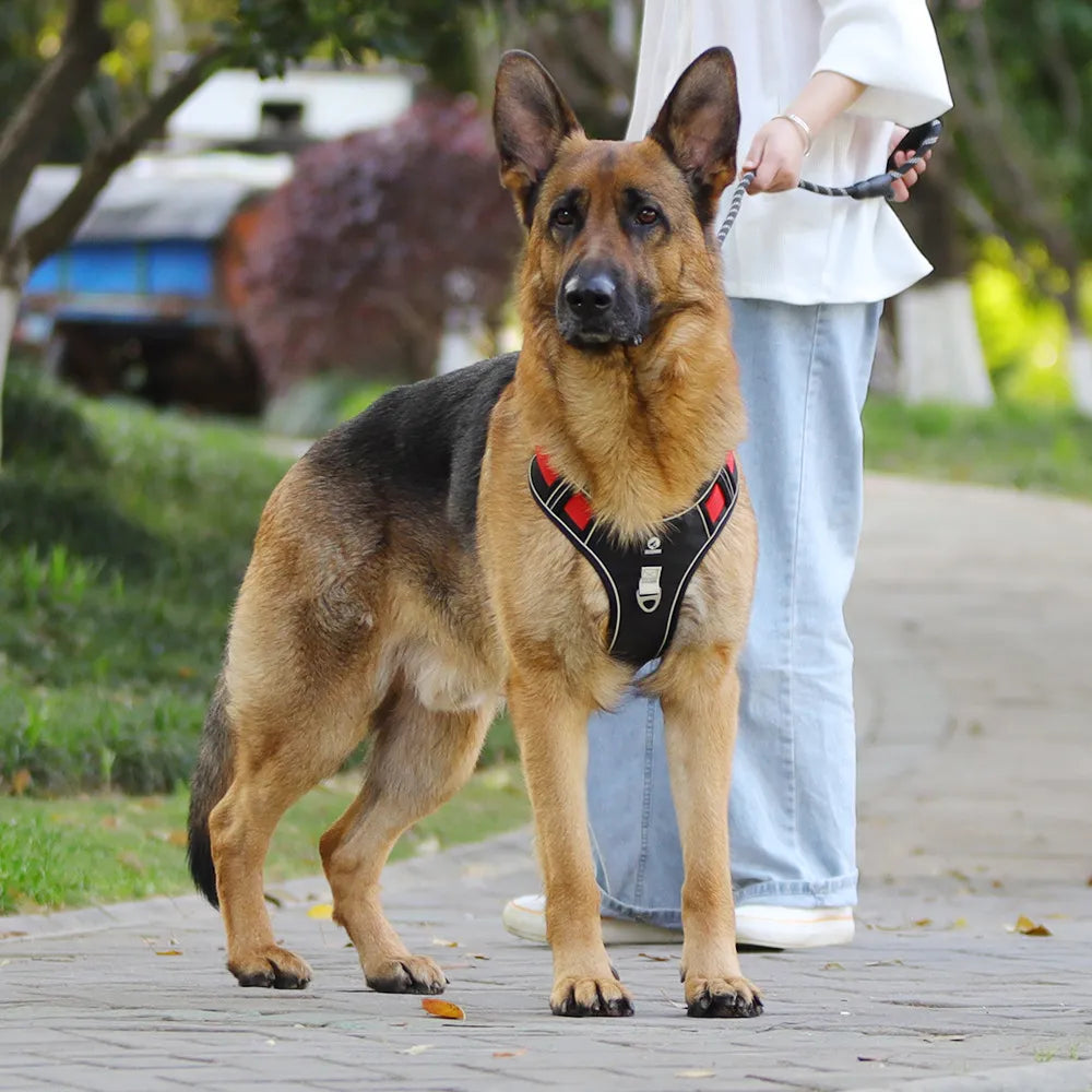 Pet Chest Vest  Strap