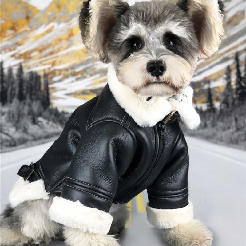 Warm Autumn Dog Clothes with Thick Velvet Material