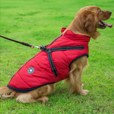 Winter Warm Hooded Coat for Small Dogs and Cats - view 31