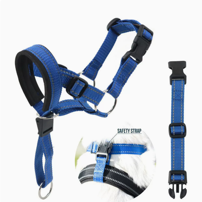 Nylon Dog Head Collar and Leash for Training (One Set)