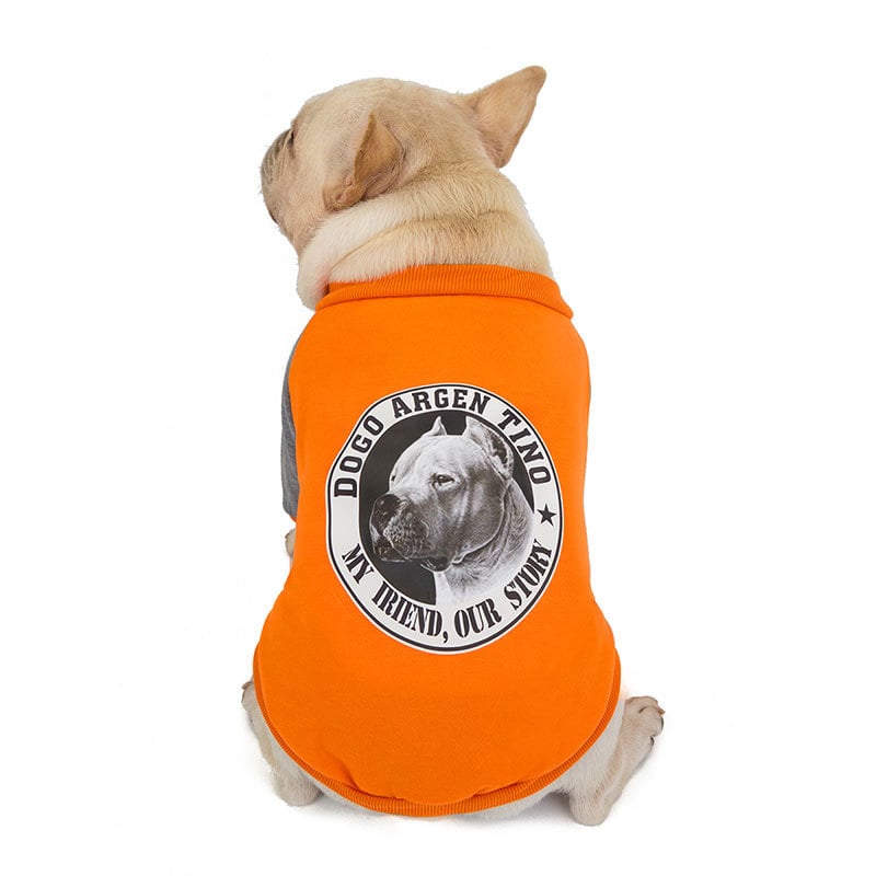 Plus Velvet Sweater for Small and Medium Pugs