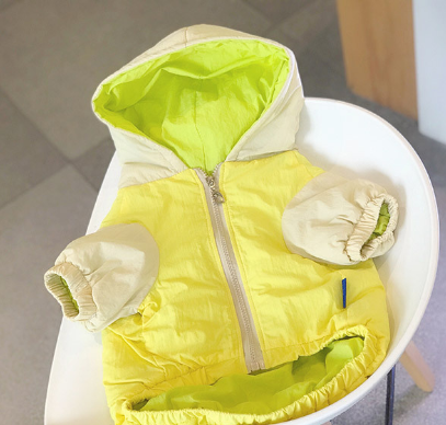 New Winter Cotton Clothing for Dogs