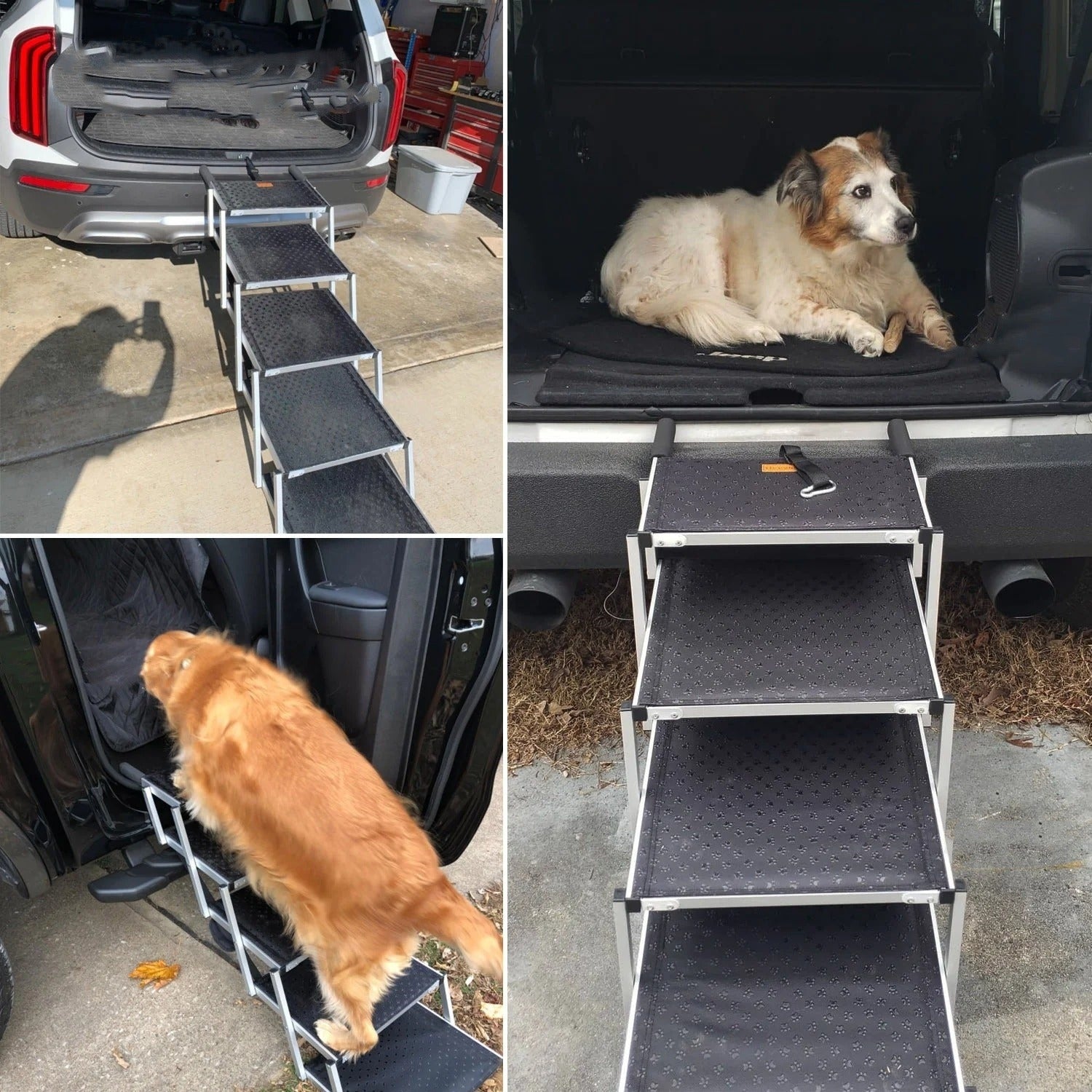 Foldable Dog Ladder