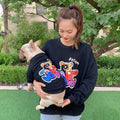 Teddy Kirkiey Cat Sweater for Spring and Autumn