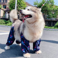 Adjustable Raincoat for Four-Legged Dogs