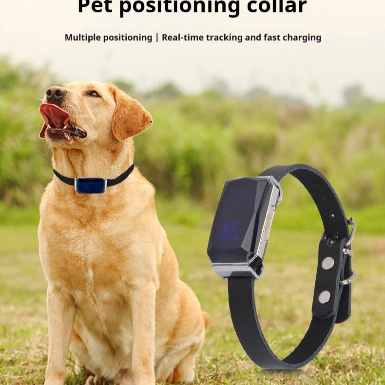 G12 Pet Navigator GPS Tracker for Cats & Dogs