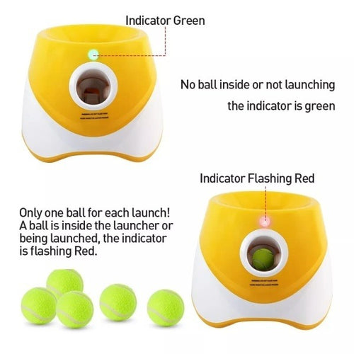 Automatic Dog Ball Launcher for Indoor and Outdoor Play