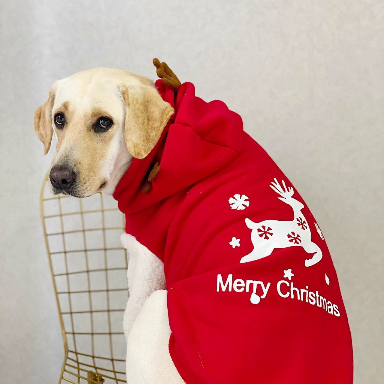 Pet Fleece Dog Sweatshirt