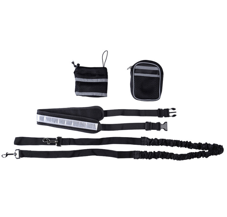 Pet Running Gear Set with Reflective Leash and Cup