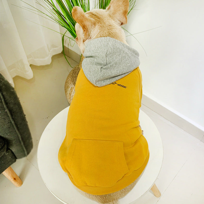 Pet Family Outfit for Persian Cats and Teddy Dogs