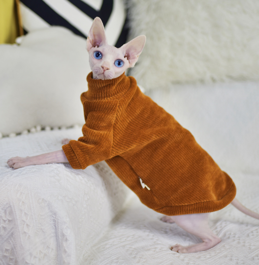 Neil Rong Sphinx Hairless Cat Apparel
