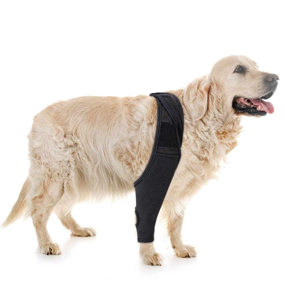 Dog Knee Brace Support for Joint Recovery
