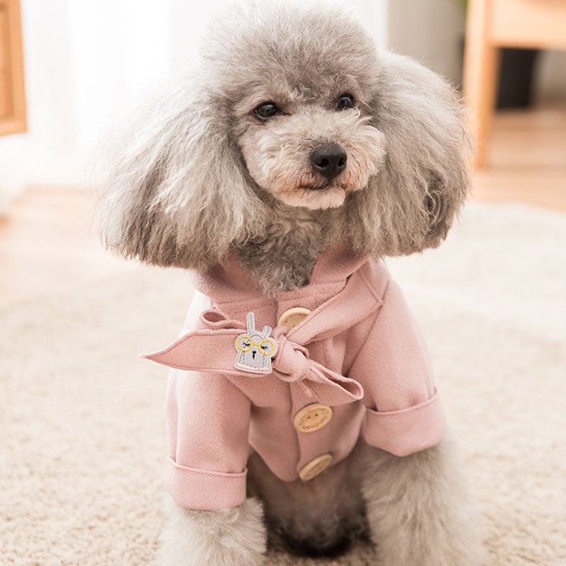 Cute Warm Padded Winter Coat for Pets