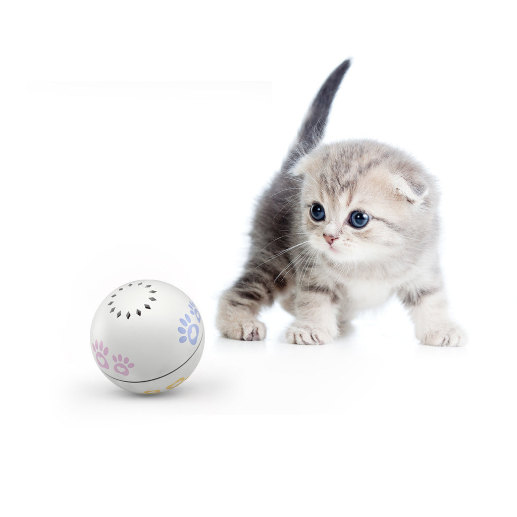 Pani Smart Companion Ball with Catnip and Red Dot