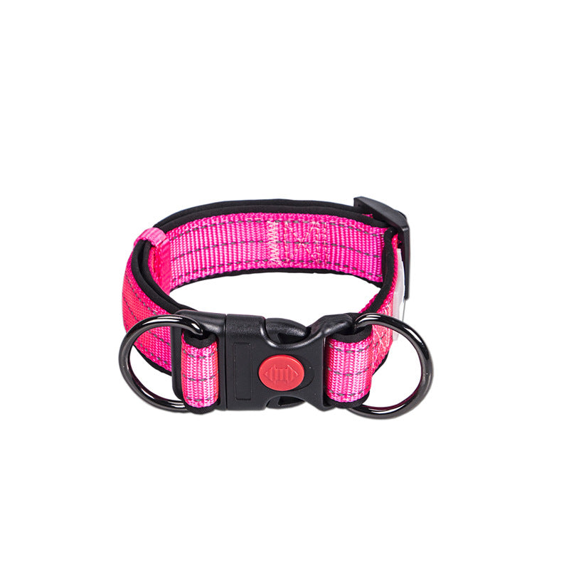 Collared Leash for Small, Medium, and Large Dogs
