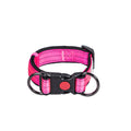 Collared Leash for Small, Medium, and Large Dogs
