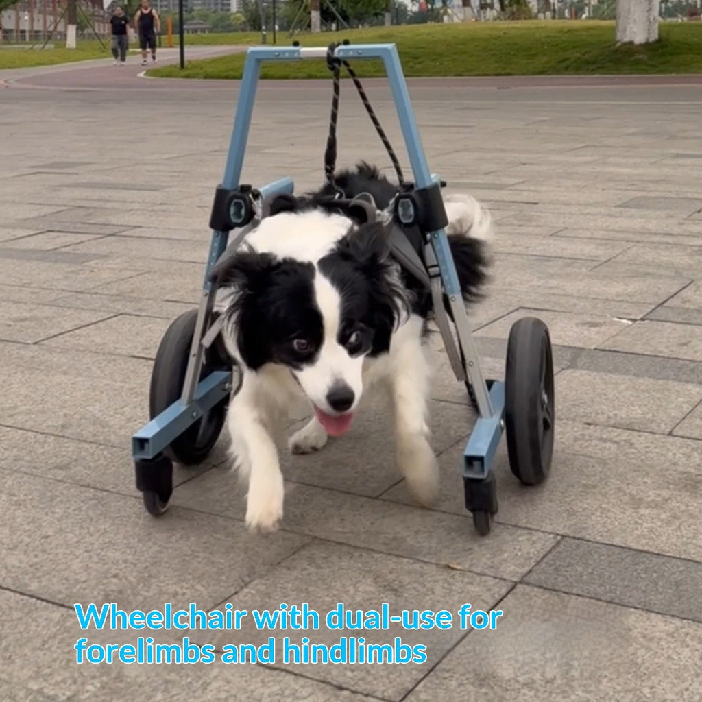 Pet Forelimb Wheelchair Dog Assistive Walker