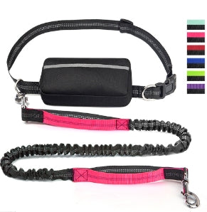 Canine Waist Pack with Reflective Leash (Single Item)