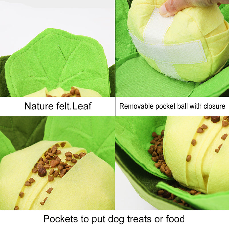 Cabbage Sniffing Toy and Slow Feed Dog Bowl