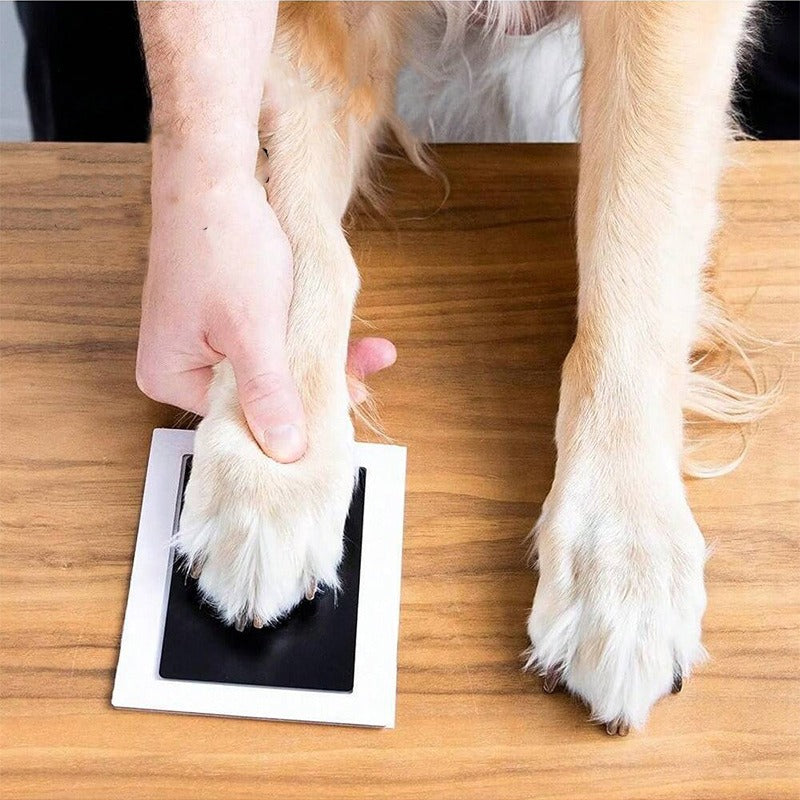 Children & Pets Fingerprint Photo Album DIY