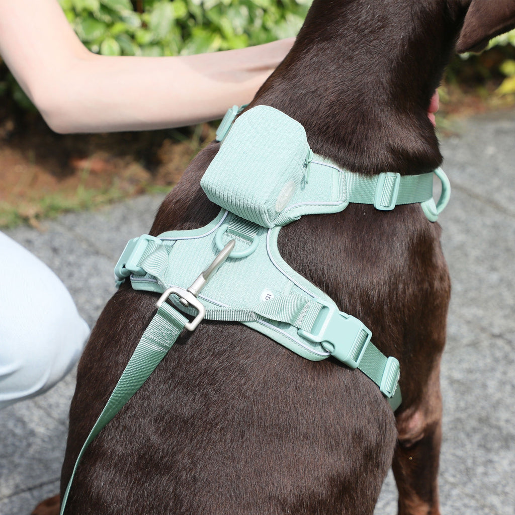 Pet Vest with Collar