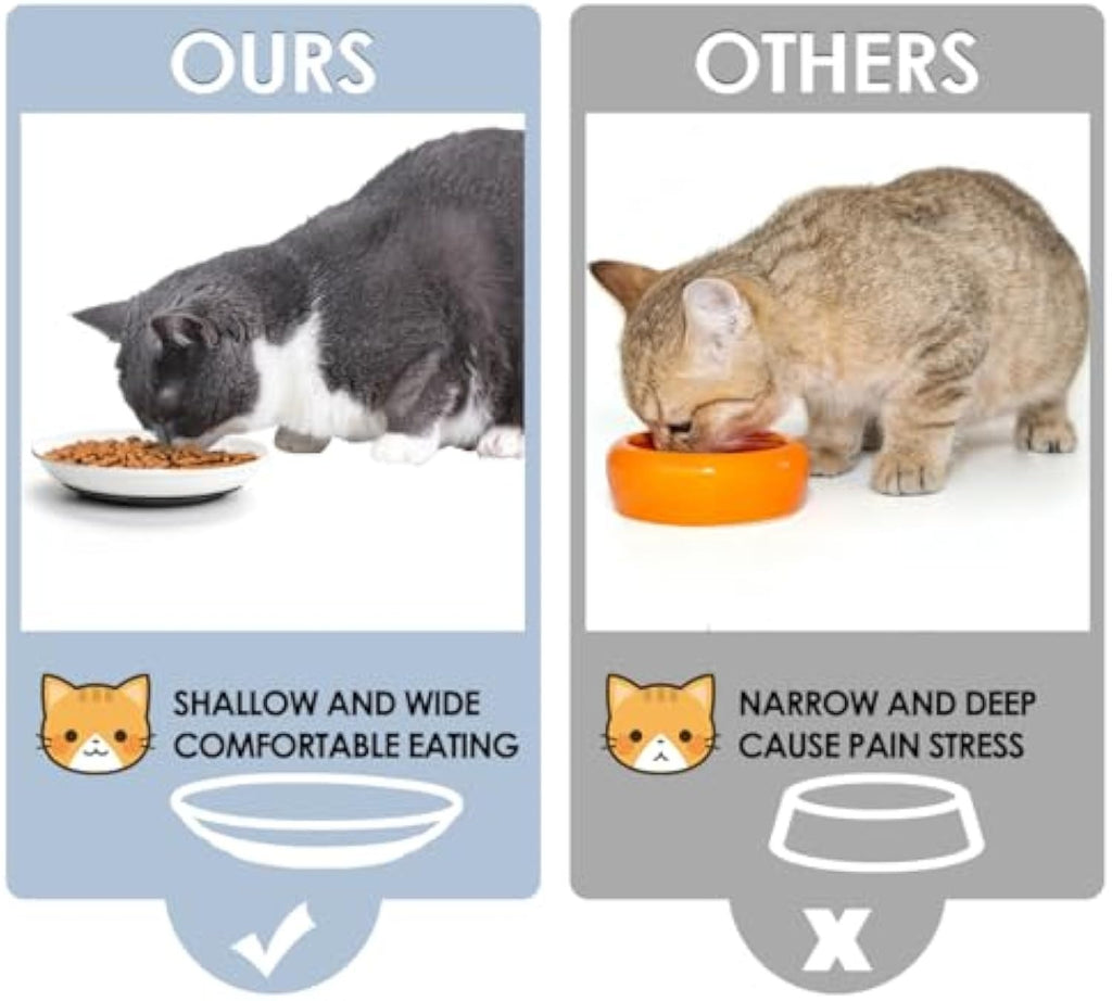 Ceramic Whisker-Friendly Cat Bowl