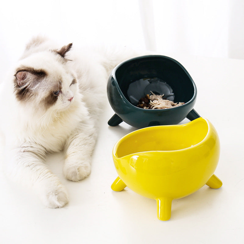 Ceramic Cat Bowl with Neck Support for Pets