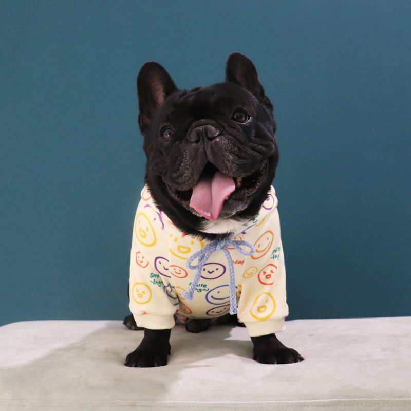 New Velvet Sweater for Schnauzer Dogs in Spring/Fall