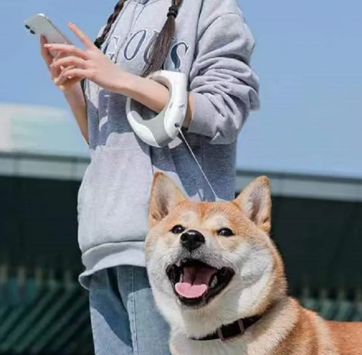 New Dog Traction Rope