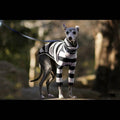 Striped High Neck Pet Clothing for Dogs
