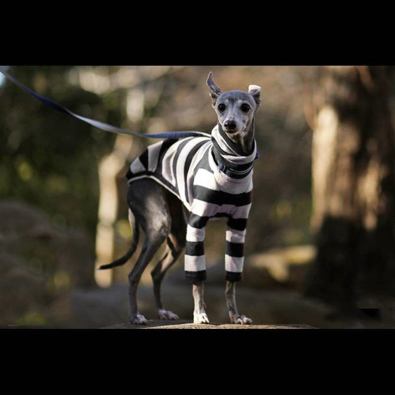Striped High Neck Pet Clothing for Dogs