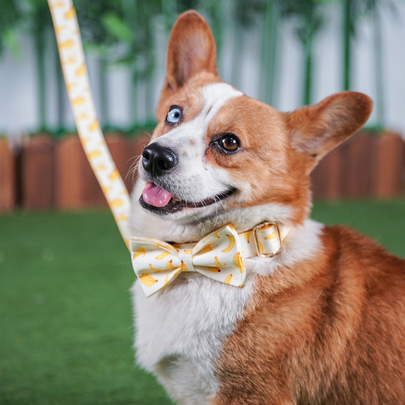 Yellow Banana Dog Leash with Traction Design